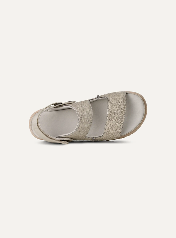Women's Goldenstar Crackle Glide