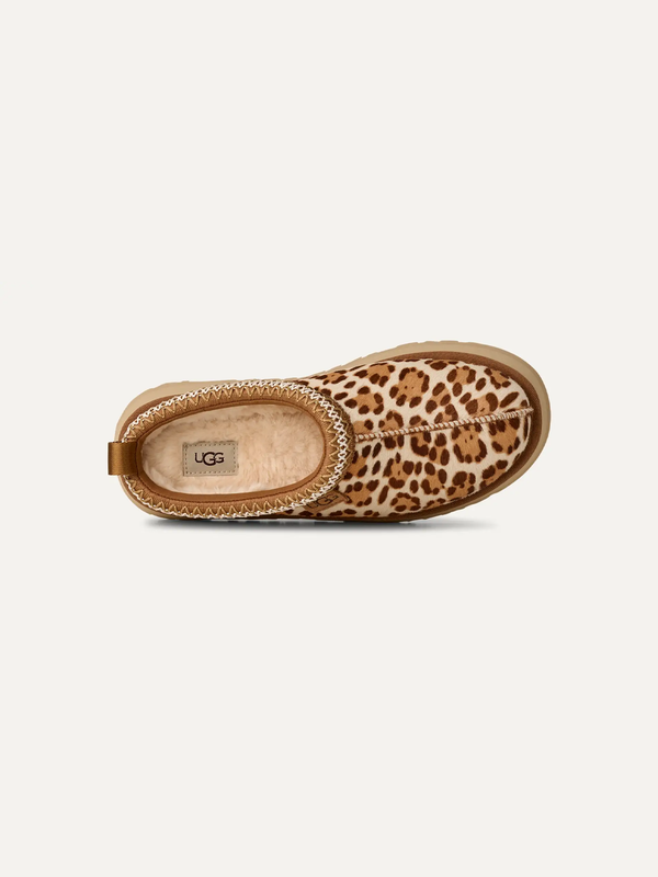 Women's Tazz Plains