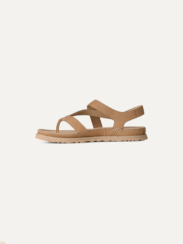 Women's GoldenGaze Toe Post Sandal