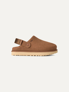 Women's Goldenstar Clog